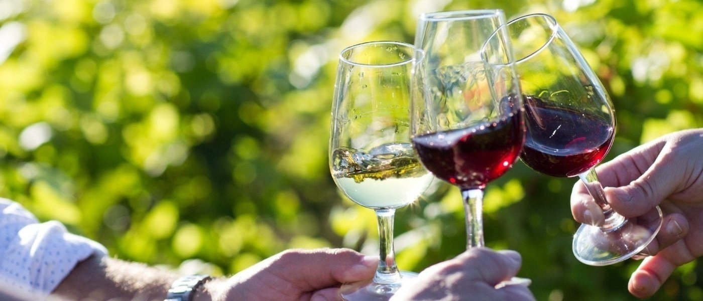 Burgundy wine tours - Wine Paths